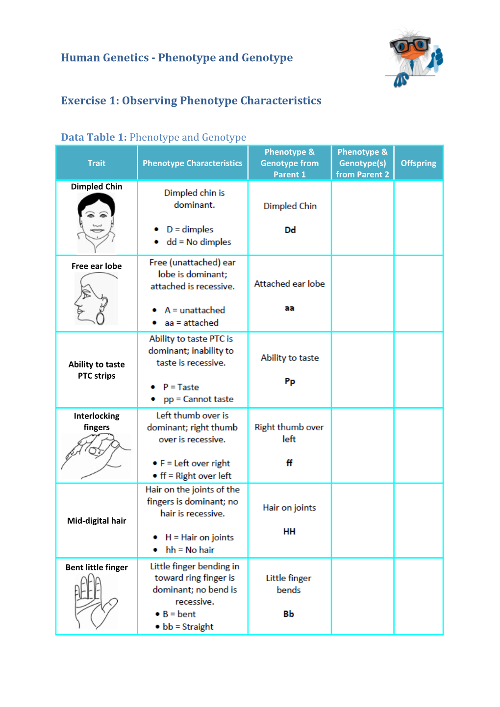 Human Genetics - Phenotype and Genotype