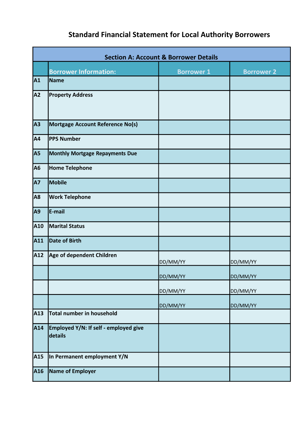 Standard Financial Statement for Local Authority Borrowers