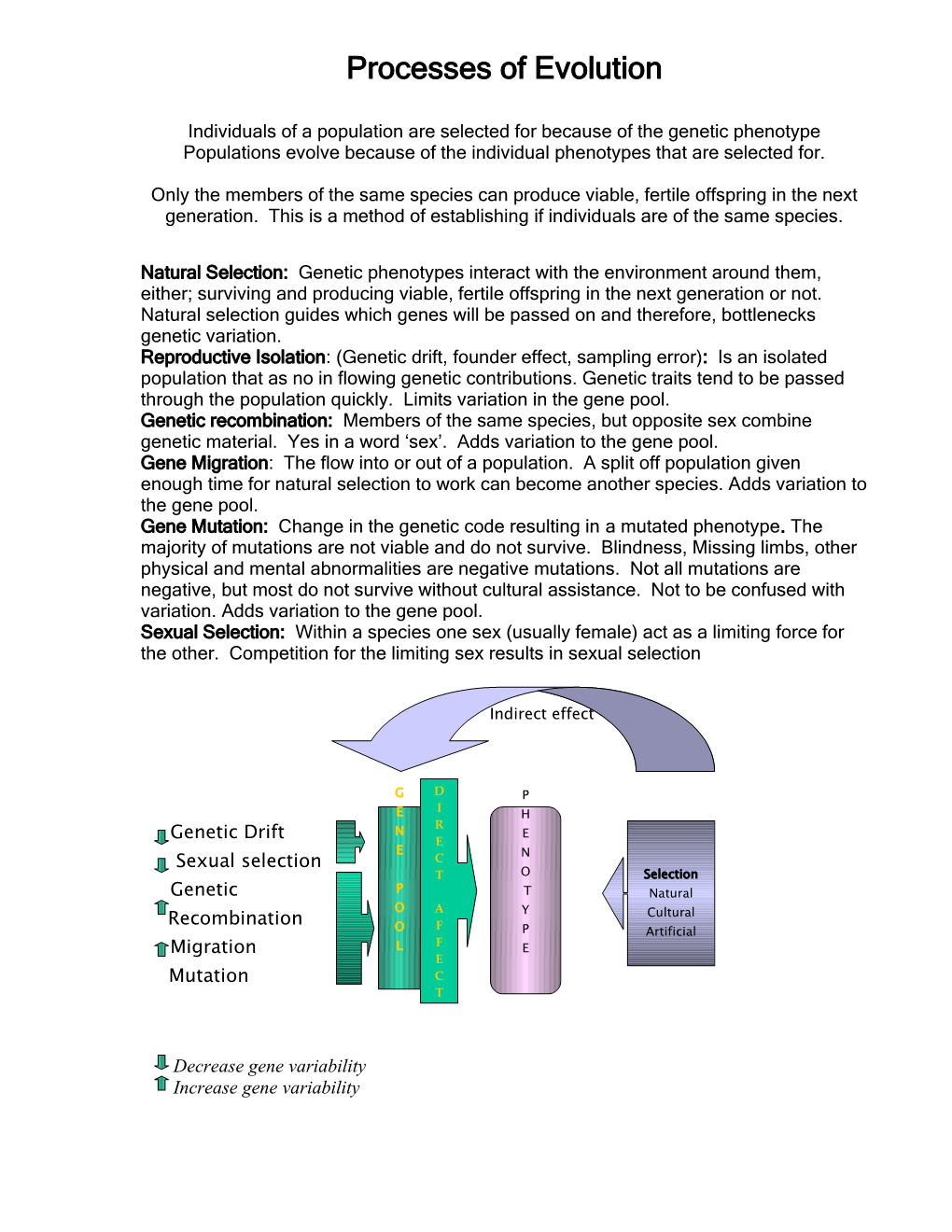 Processes of Evolution