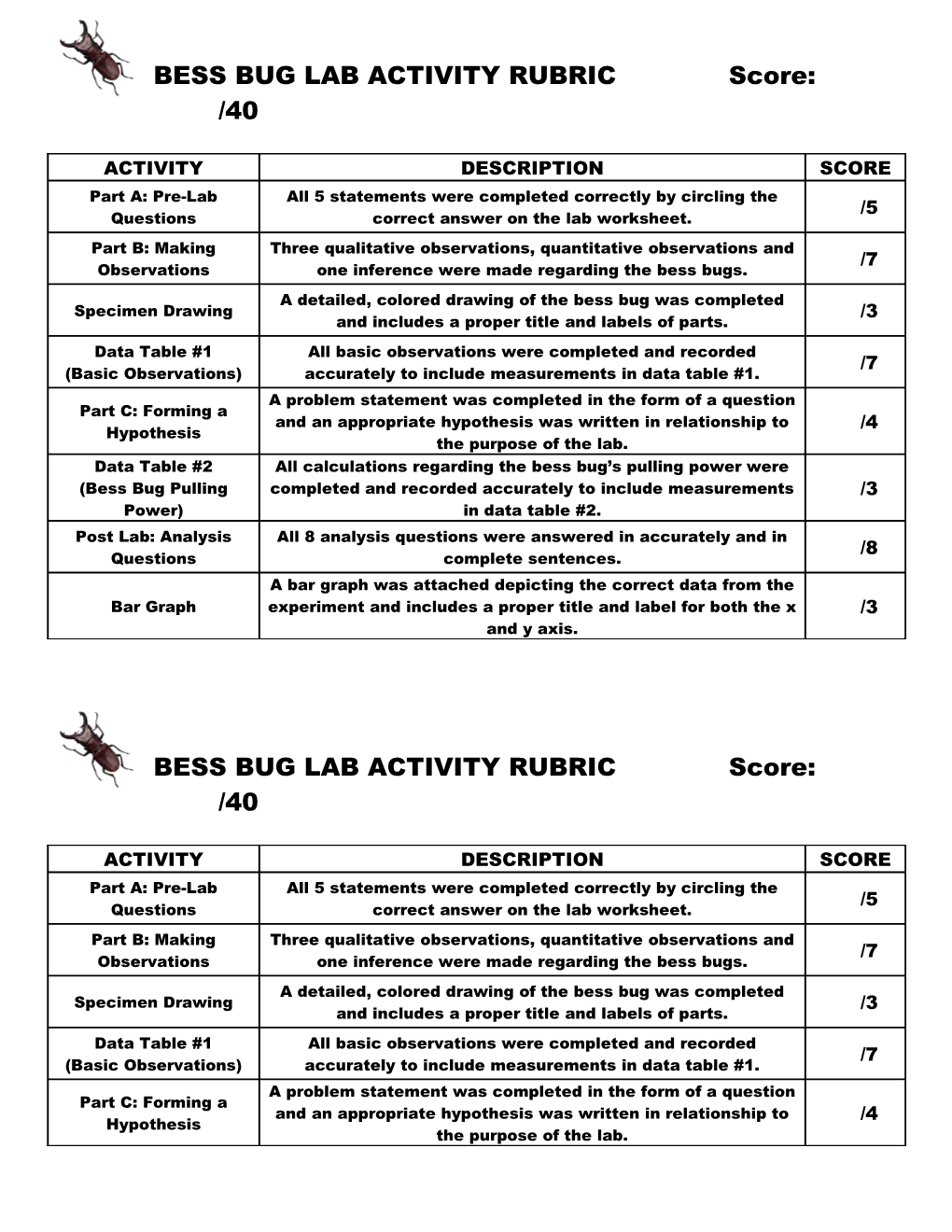 Bess Bug Lab Activity Rubric