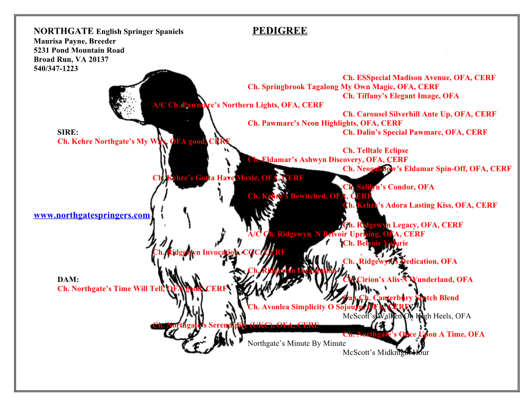 NORTHGATE English Springer Spaniels PEDIGREE s1