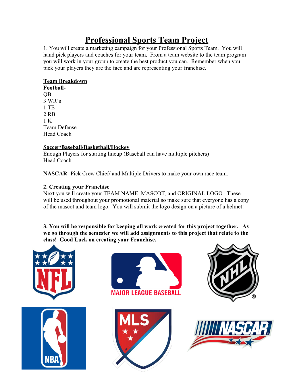 Professional Sports Team Project