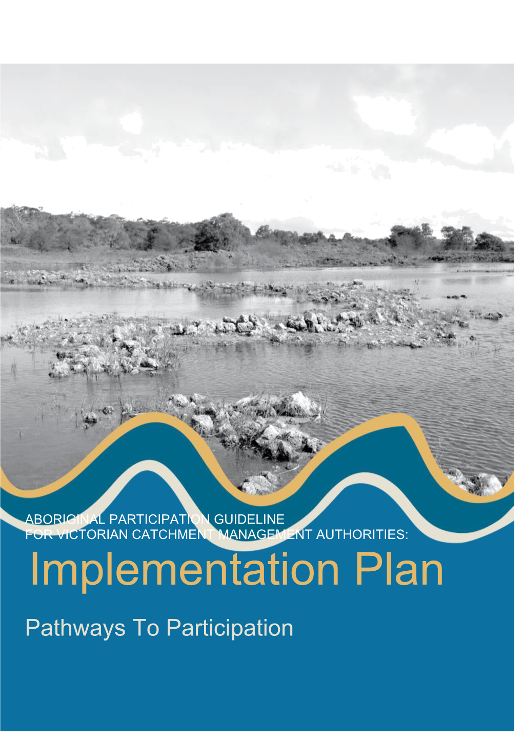 Implementation Plan Pathways to Participation