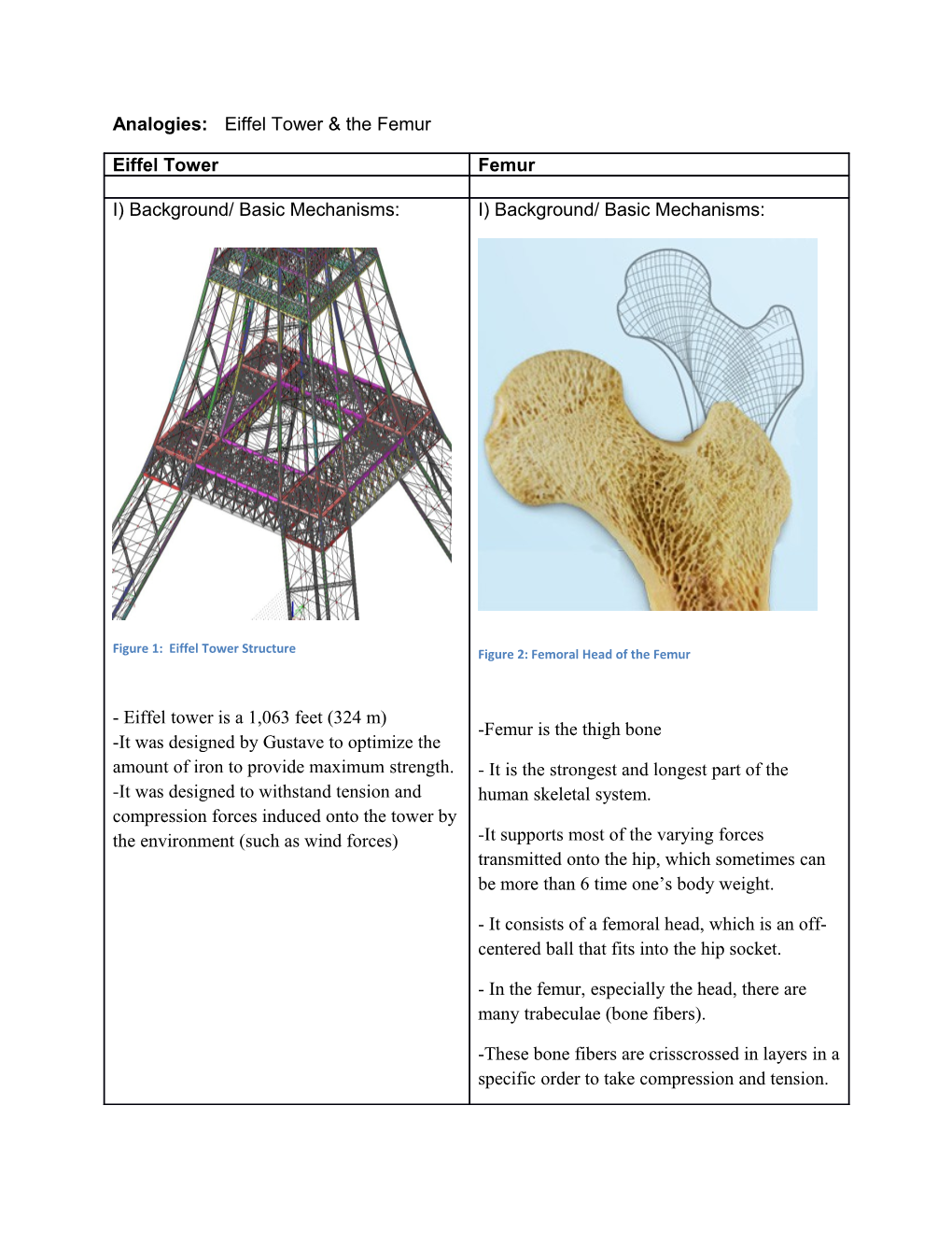 Analogies: Eiffel Tower & the Femur