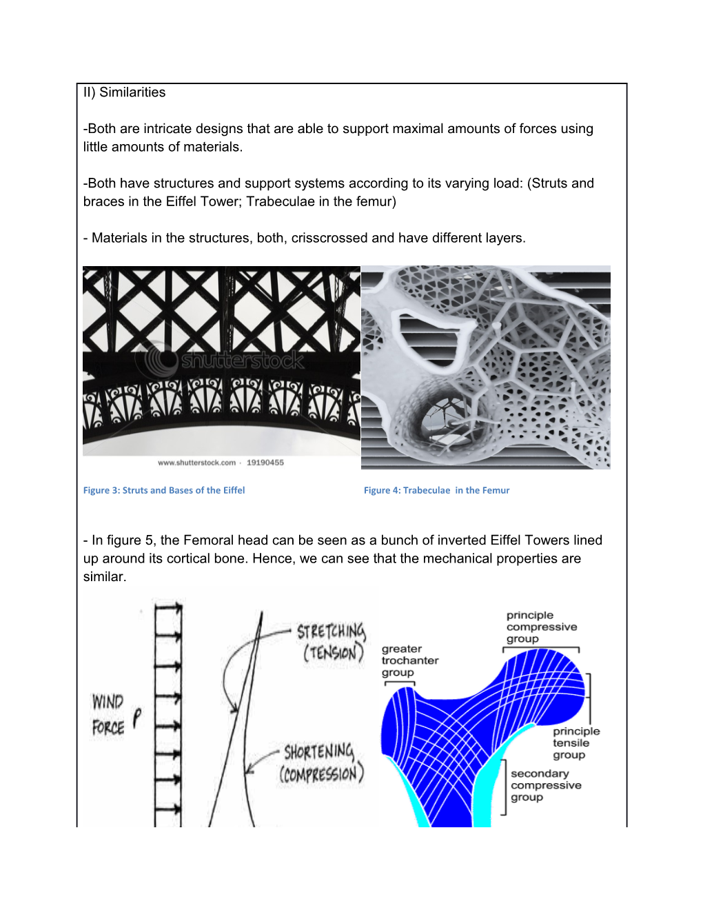 Analogies: Eiffel Tower & the Femur