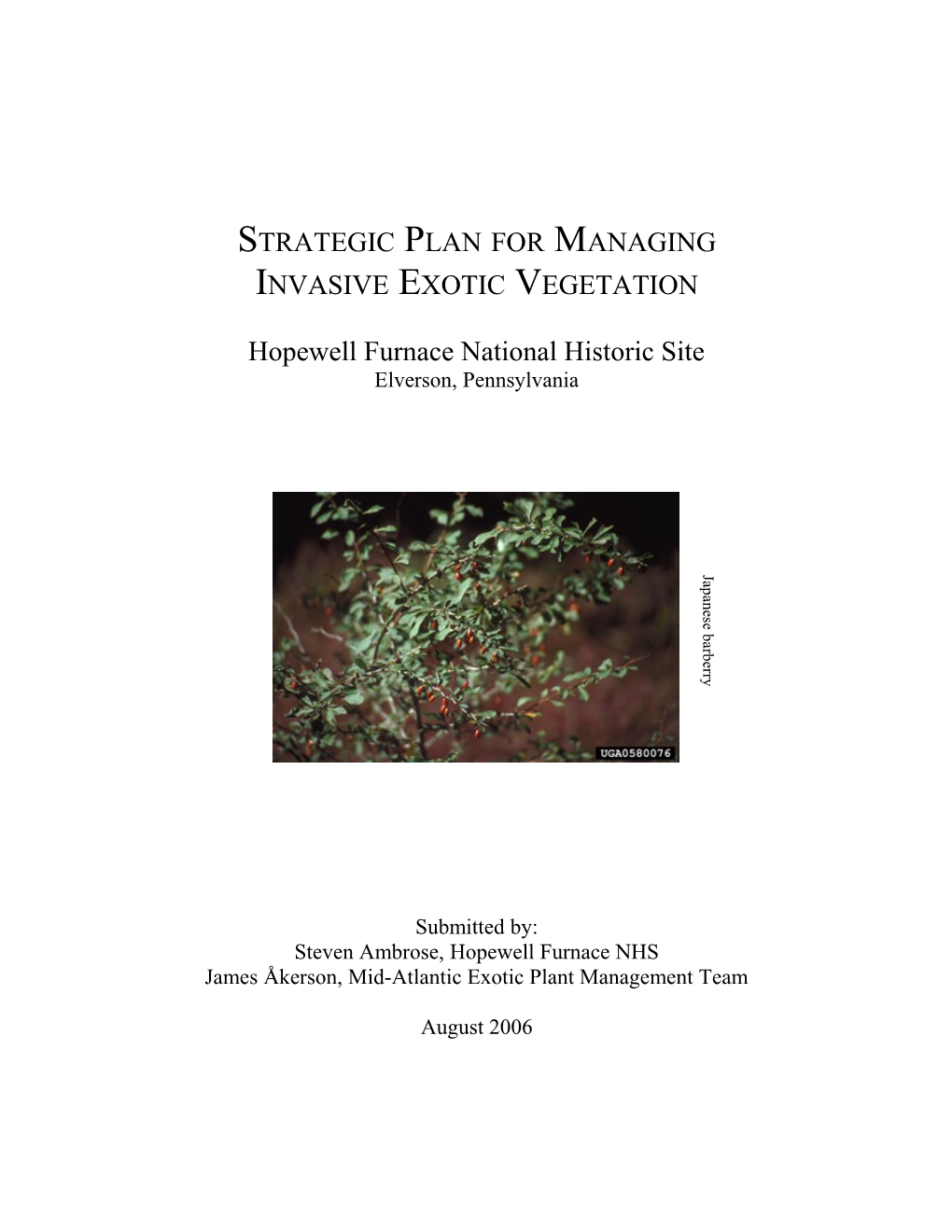 Strategic Plan For The Management Of Alien Invasive Vegetation