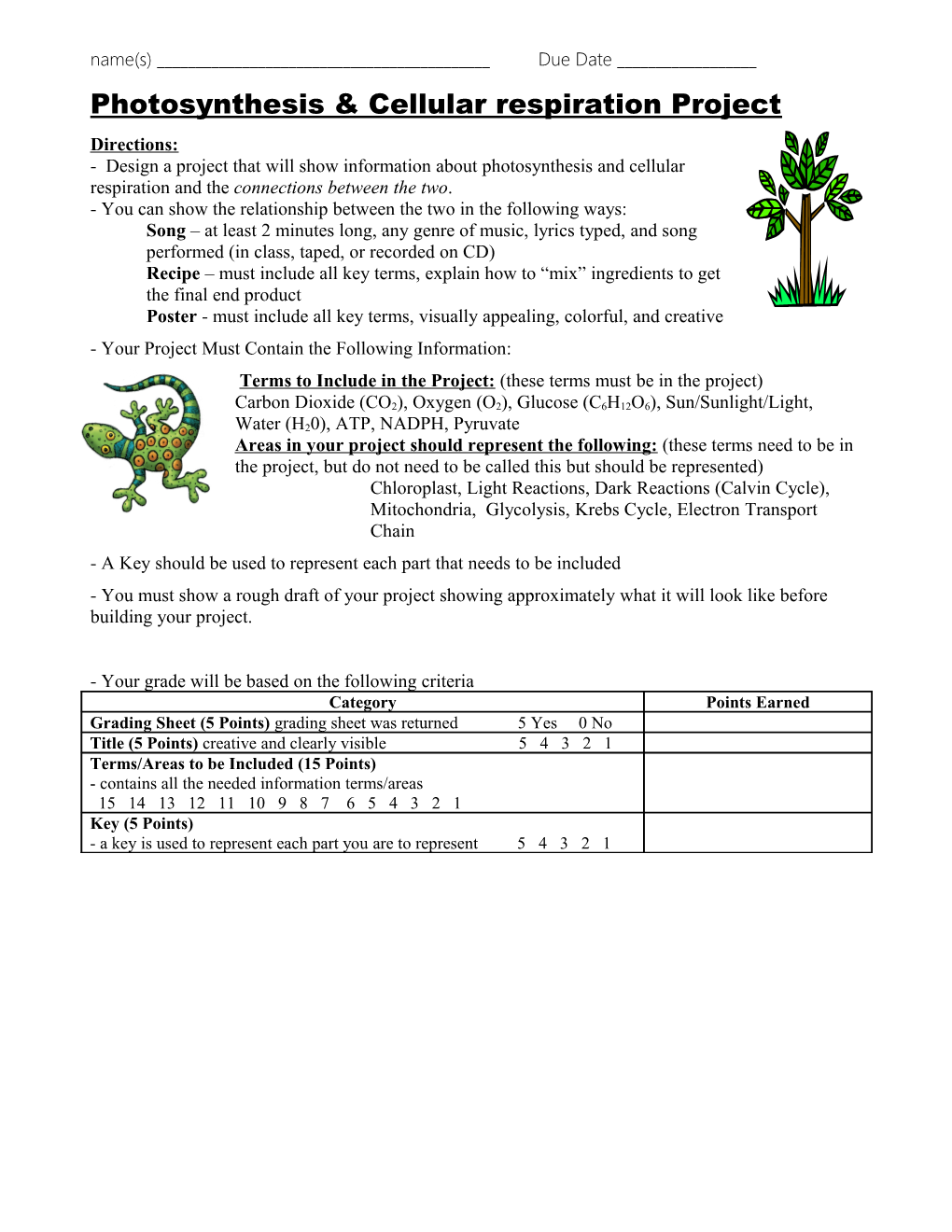 Photosynthesis and Cellular Respiration Poster Project s1