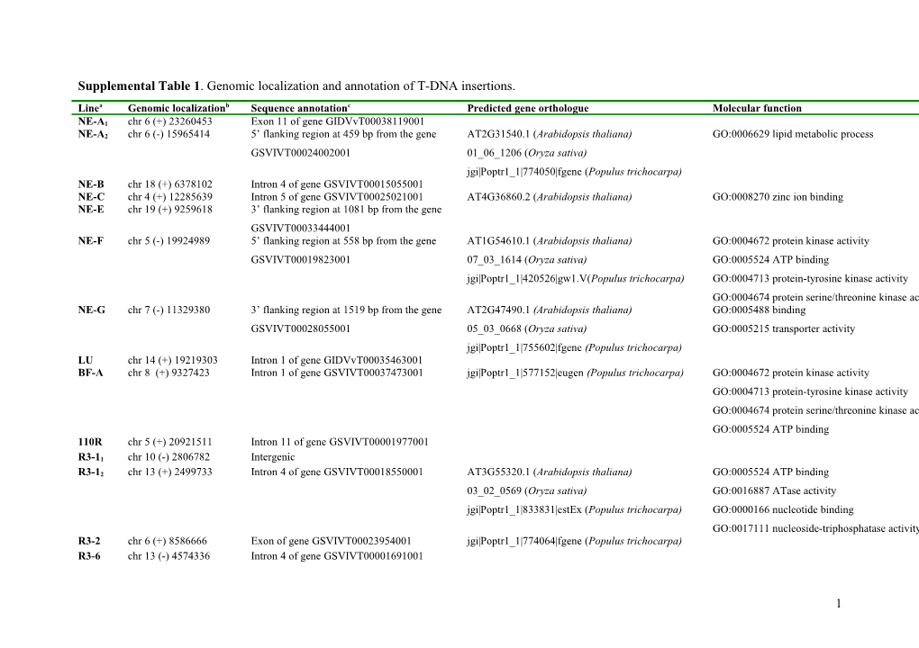 Characterization of T-DNA Insertions in Transgenic Grapevine Obtained by Agrobacterium-Mediated