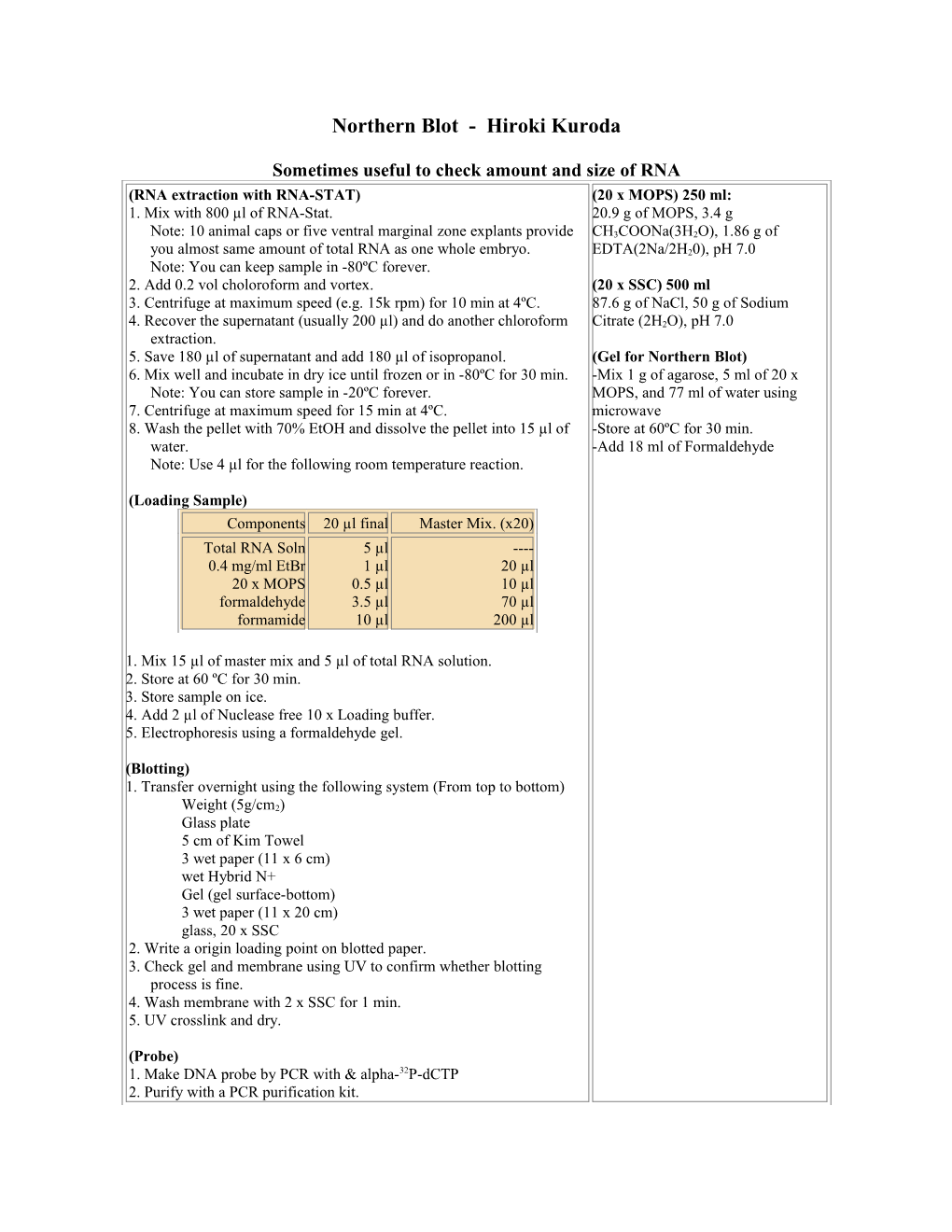 Sometimes Useful to Check Amount and Size of RNA