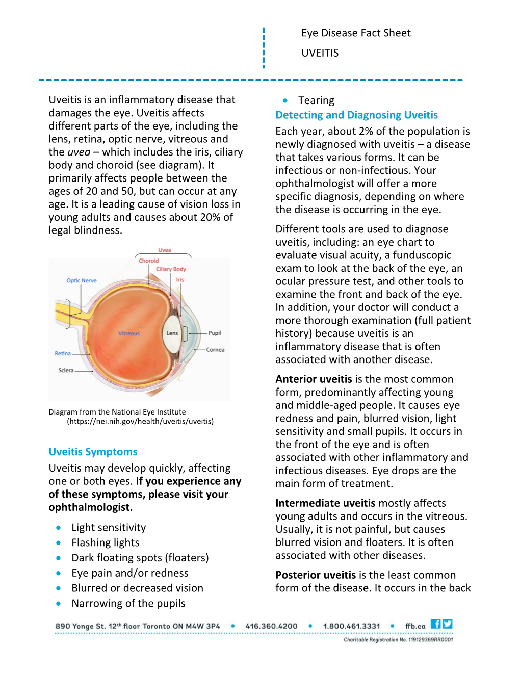 Diagram from the National Eye Institute (