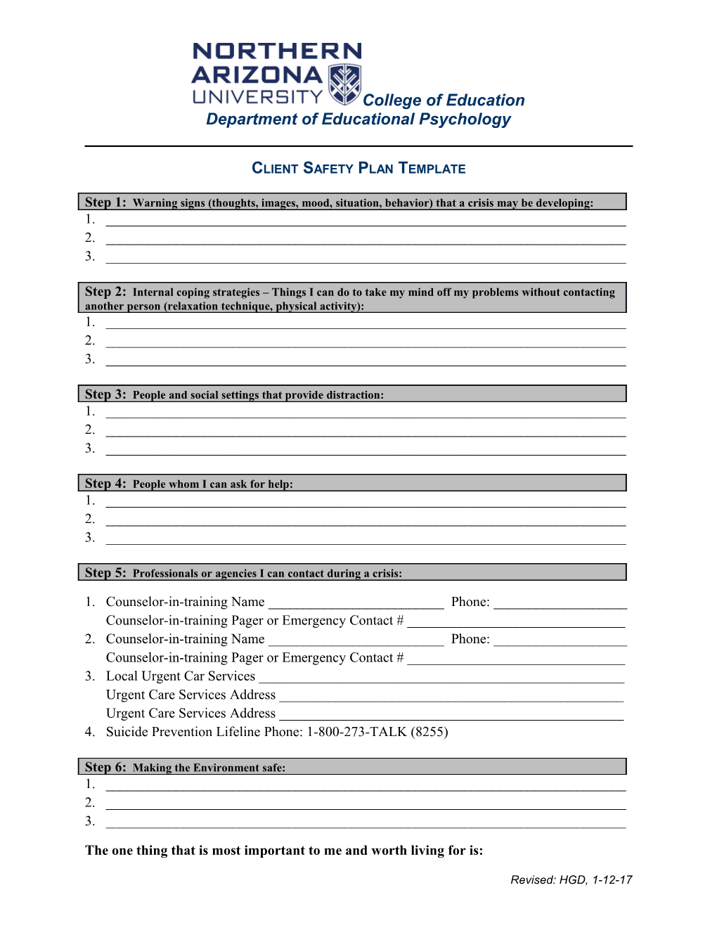 Client Safety Plan Template