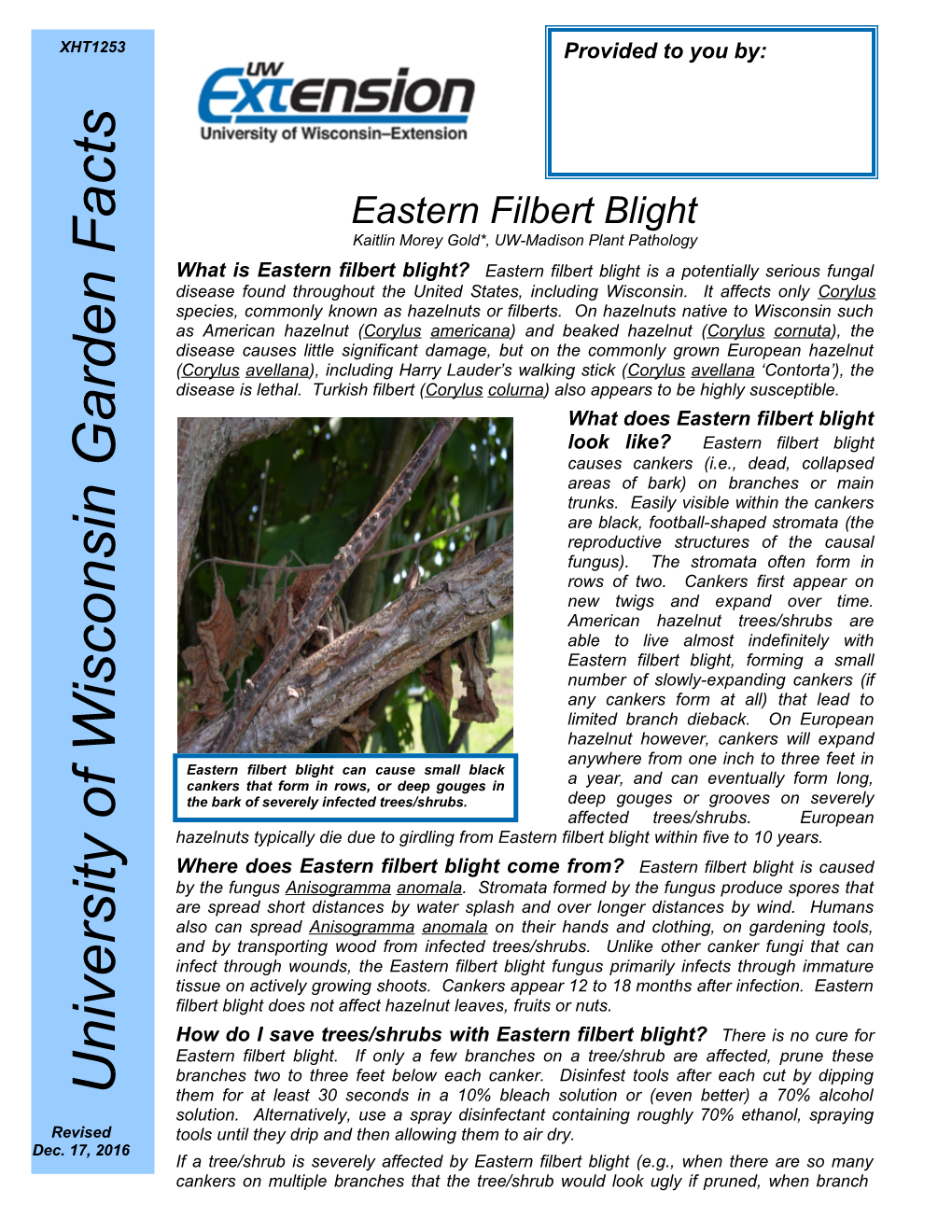 Eastern Filbert Blight