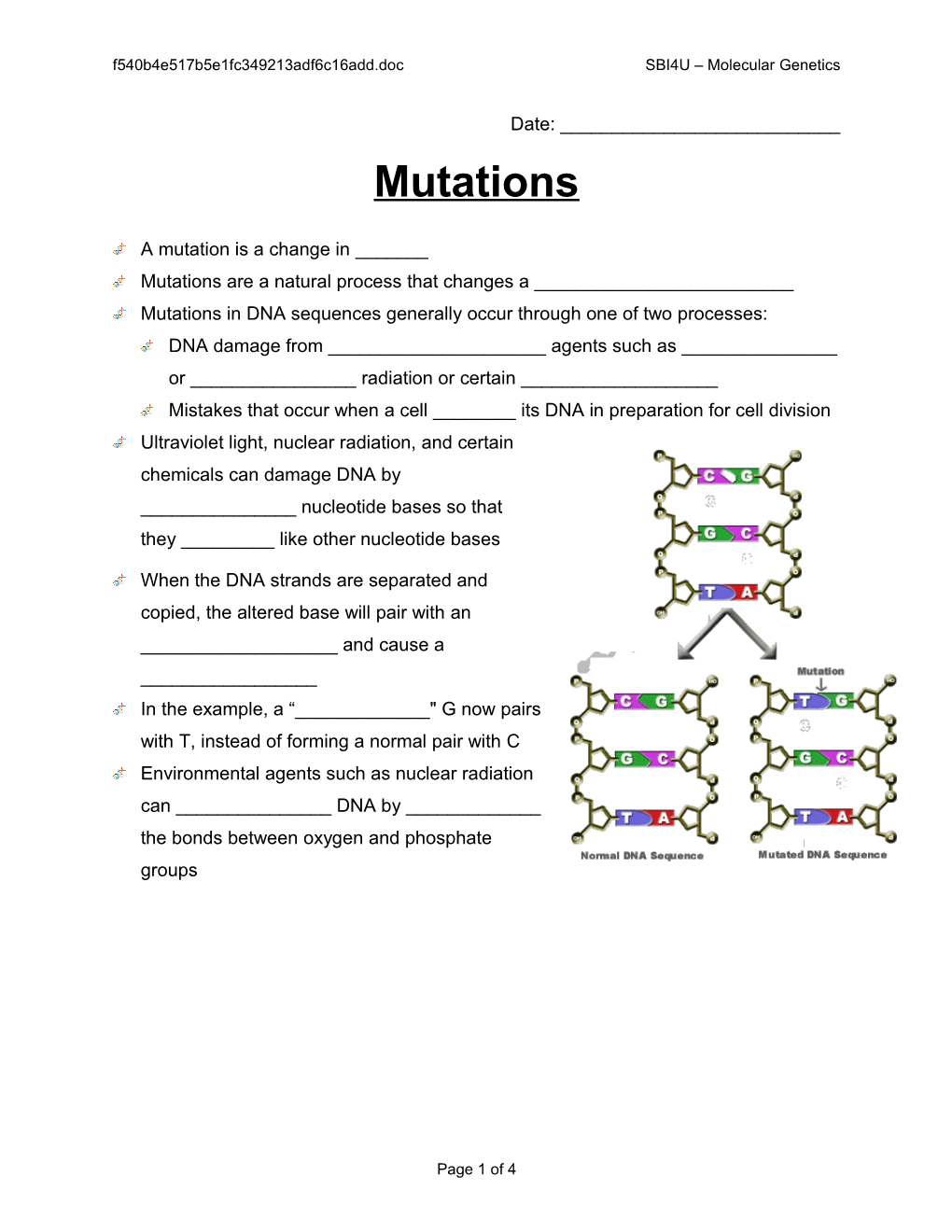 8 - Mutations SBI4U Molecular Genetics
