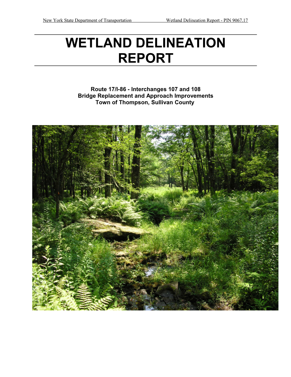 New York State Department Of Transportation Wetland Delineation Report - PIN 1041
