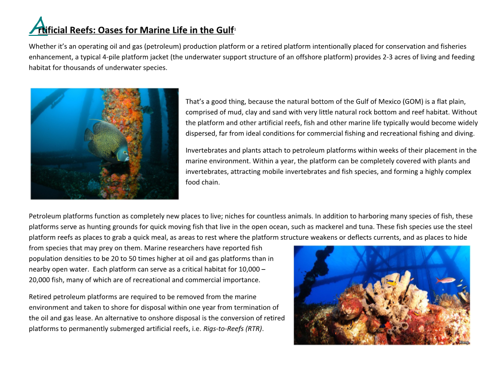 Artificial Reefs: Oases for Marine Life in the Gulf 1