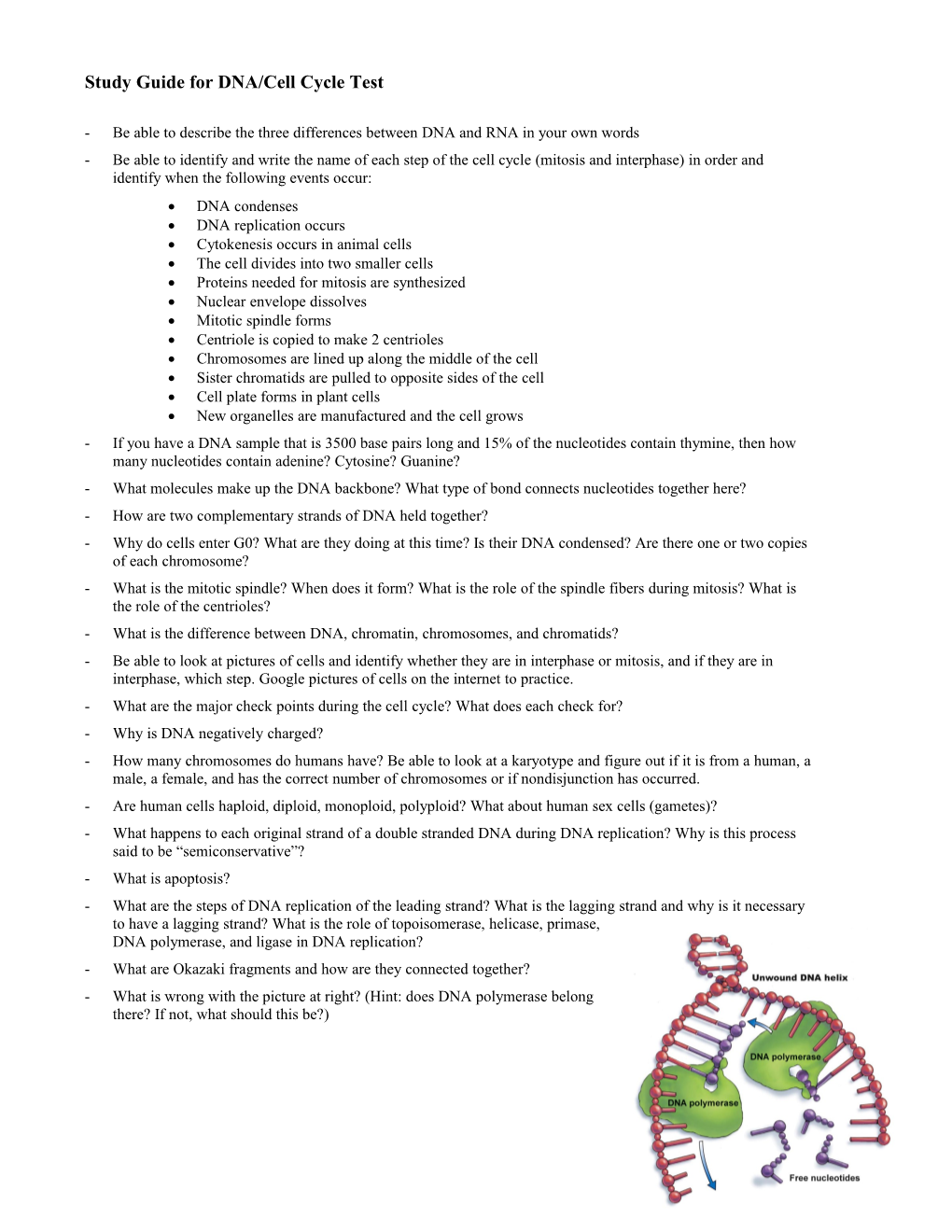 Study Guide for DNA/Cell Cycle Test