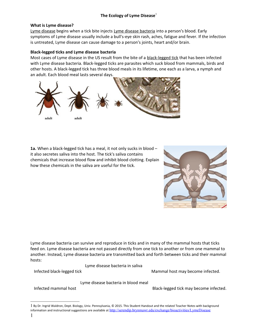 Black-Legged Ticks and Lyme Disease Bacteria