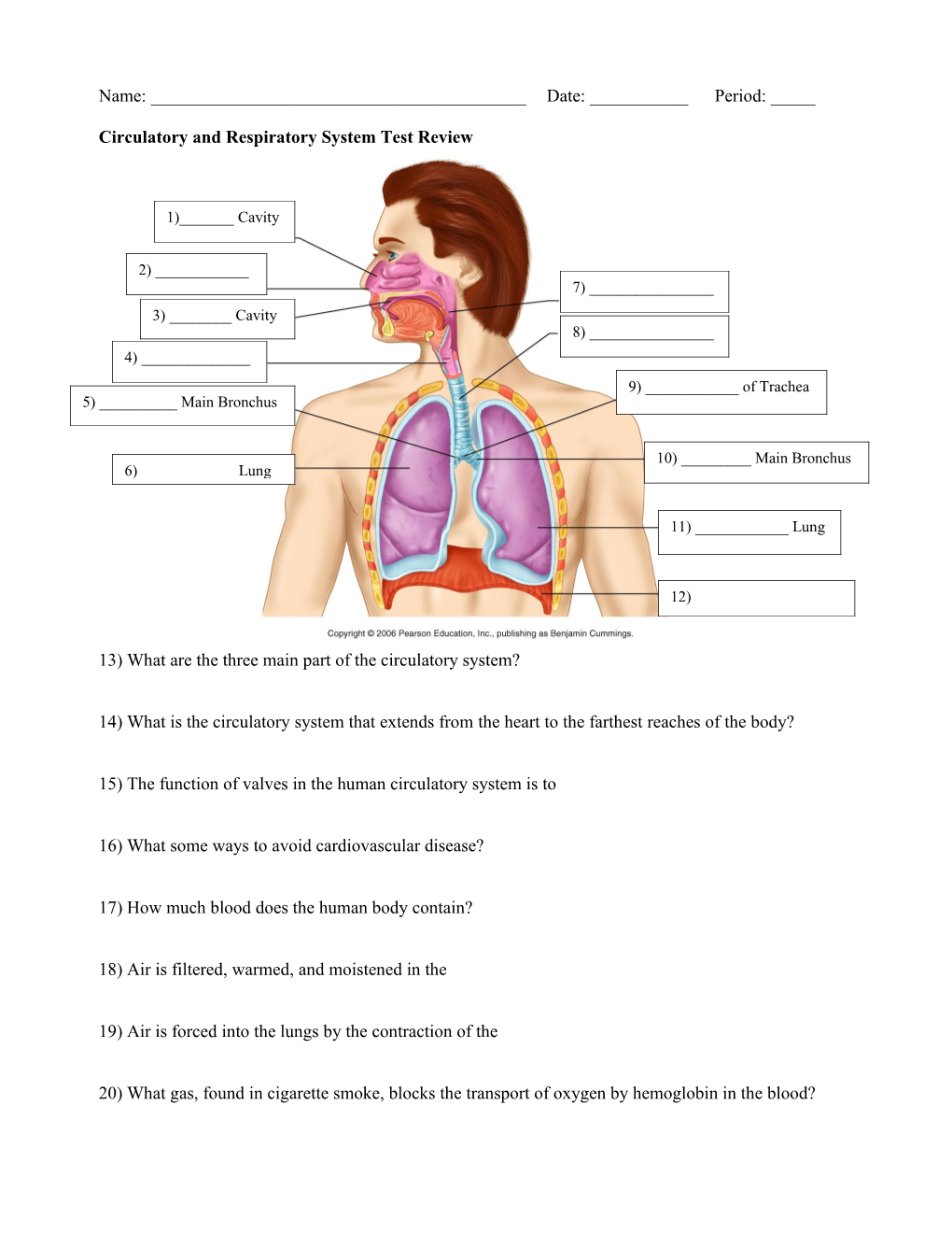 Circulatory and Respiratory System Test Review