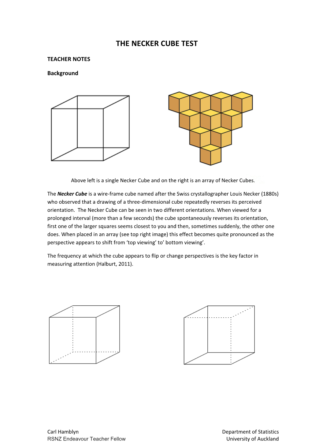 The Necker Cube Test