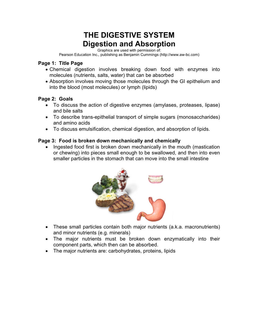 Anatomy Review: Digestive System s1