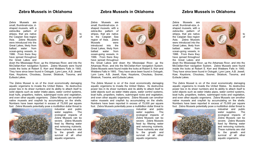 Zebra Mussels in Oklahoma