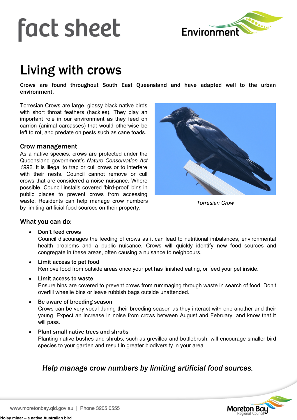 Living with Crows