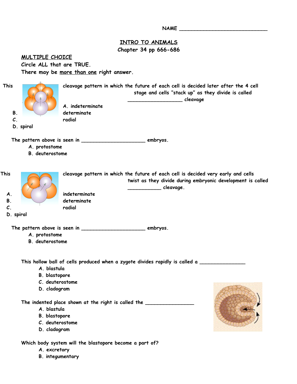 INTRO to ANIMALS Chapter 34 Pp 666-686