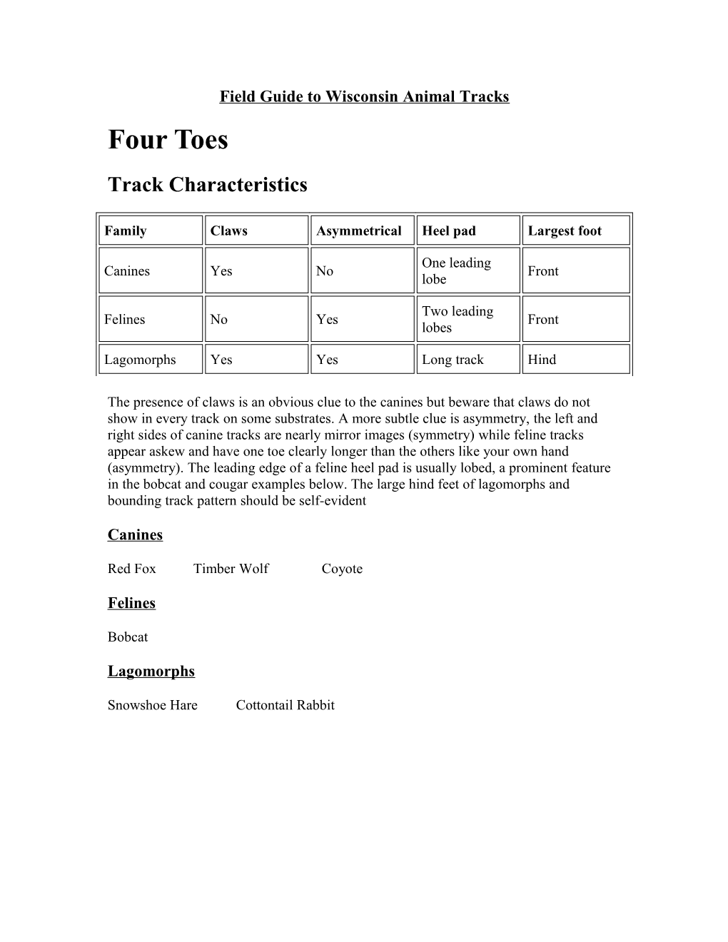 Field Guide to Wisconsin Animal Tracks