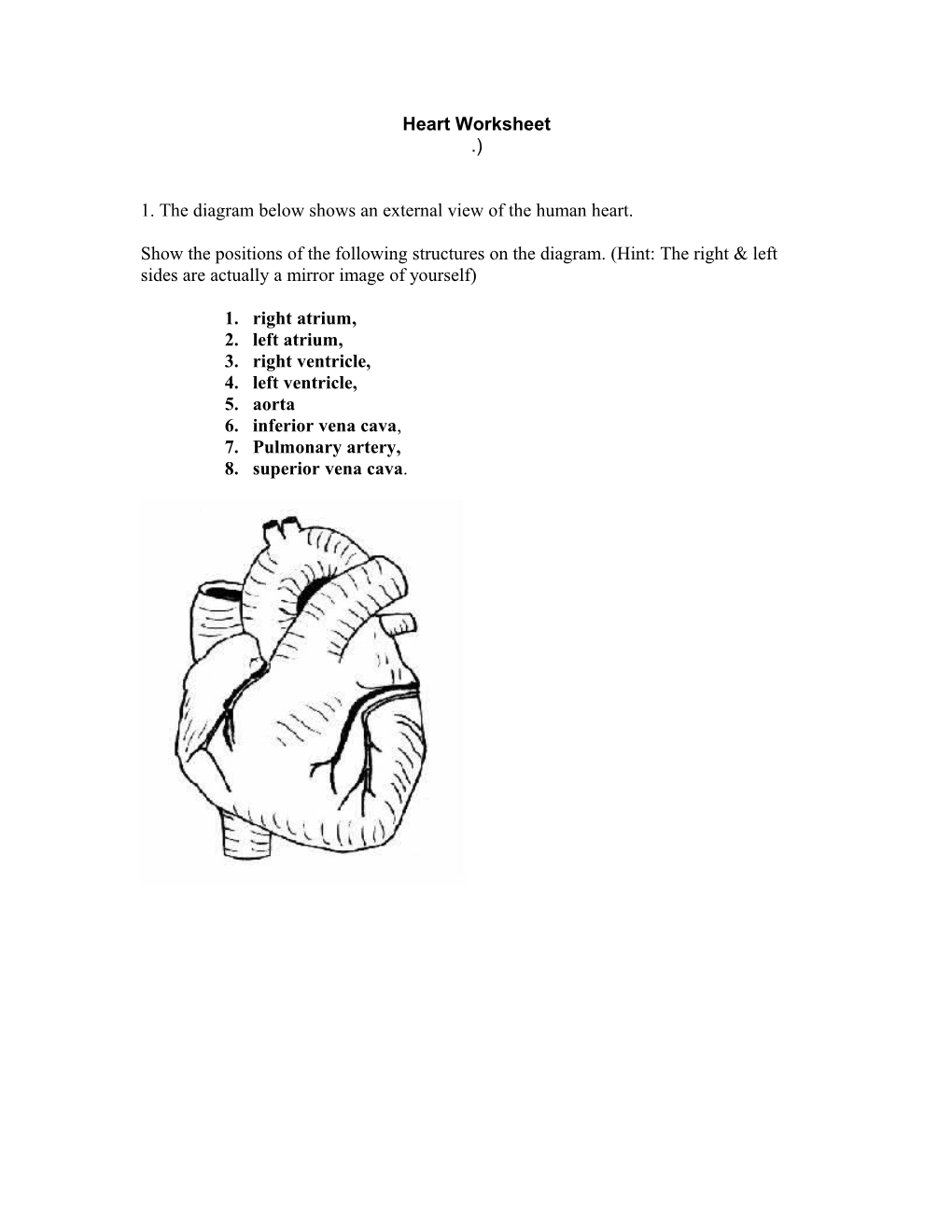 1. the Diagram Below Shows an External View of the Human Heart