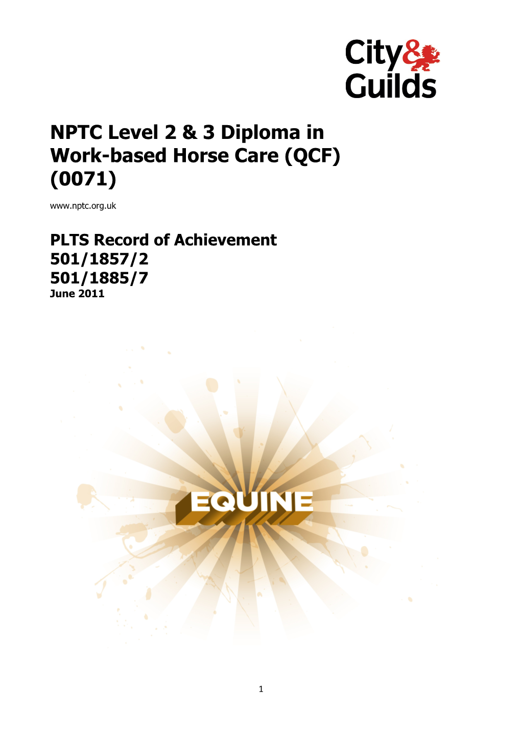 Record of Achievement