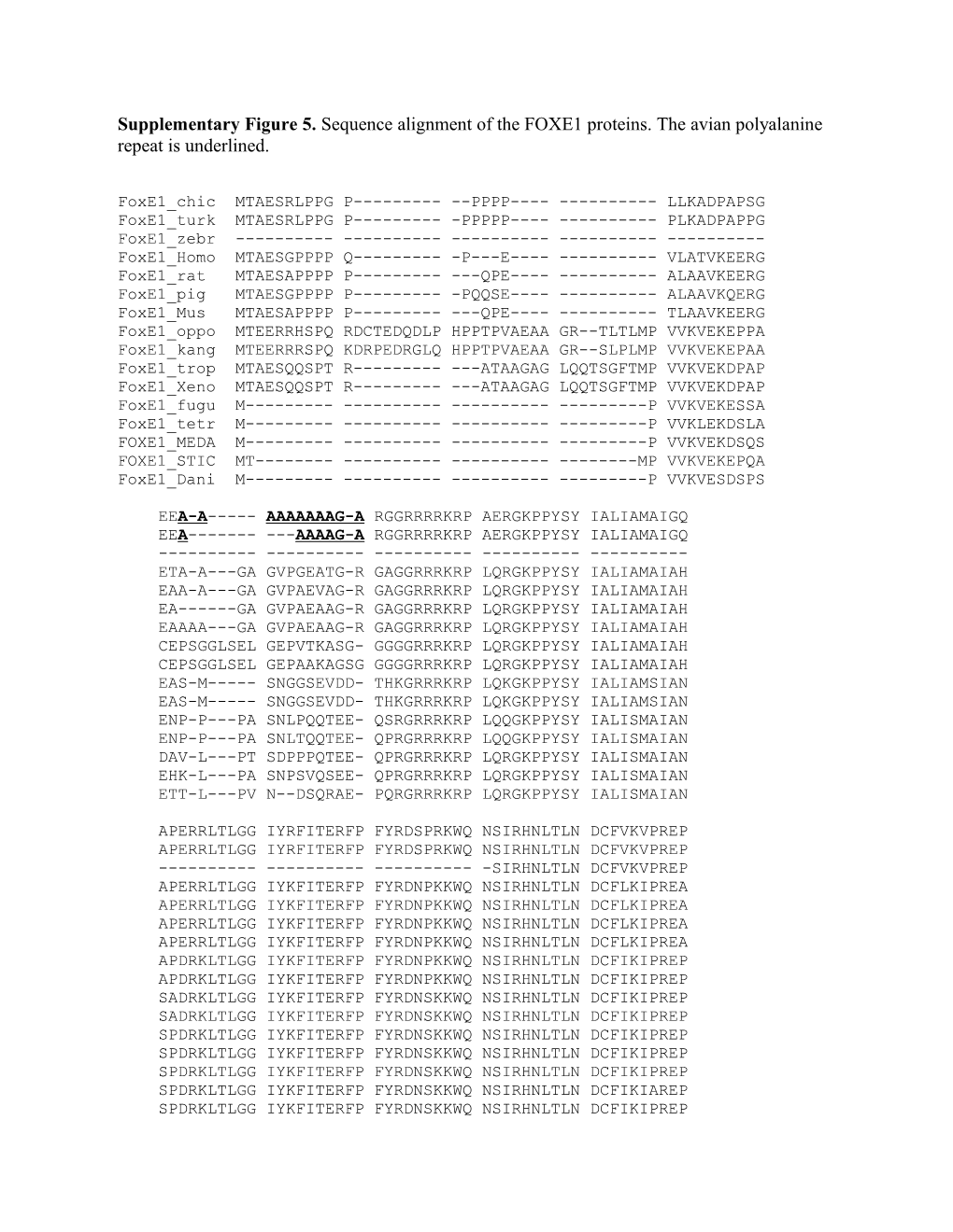 Supplementary Figure 5. Sequence Alignment of the FOXE1 Proteins. the Avian Polyalanine