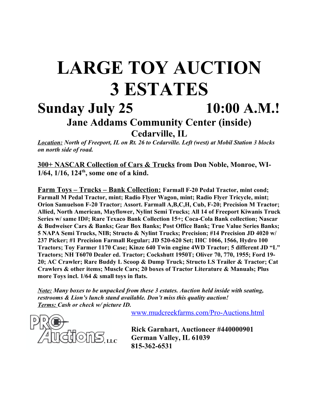 Large Toy Auction