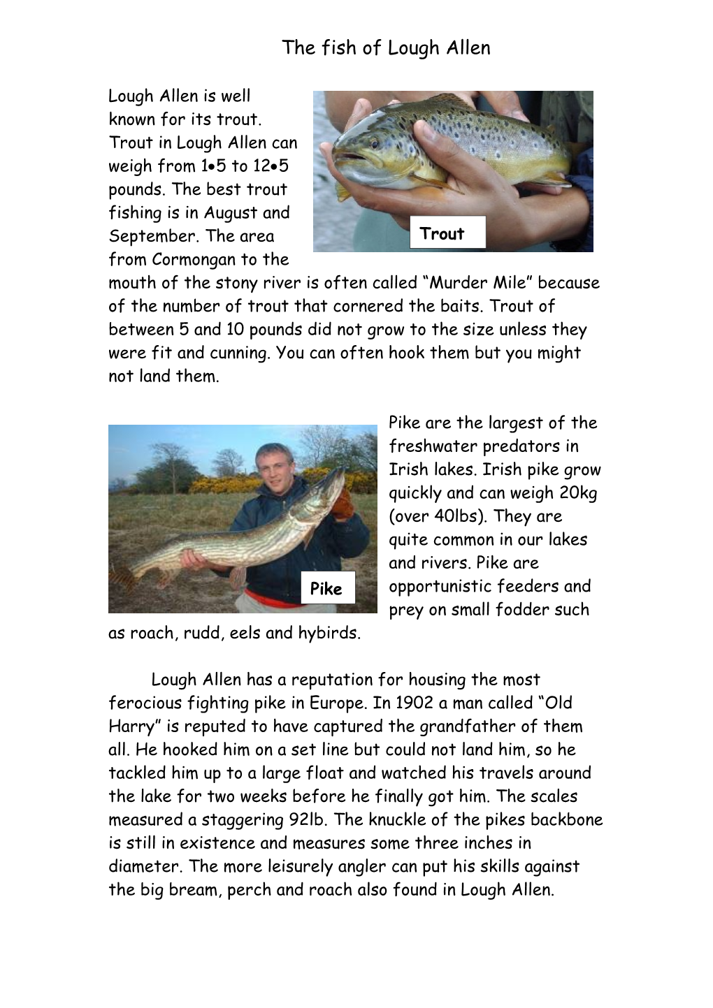 The Fish of Lough Allen