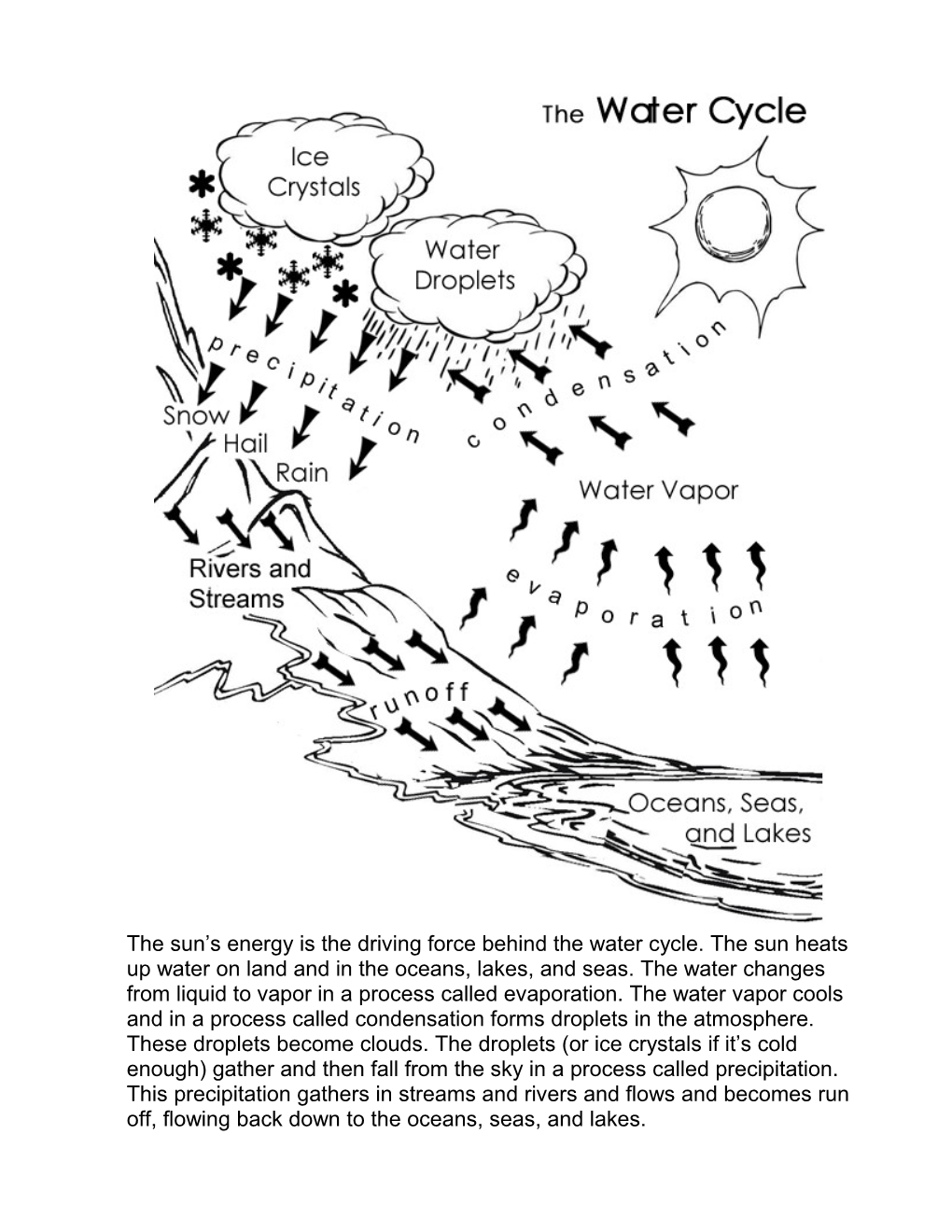The Sun S Energy Is the Driving Force Behind the Water Cycle. the Sun Heats up Water On