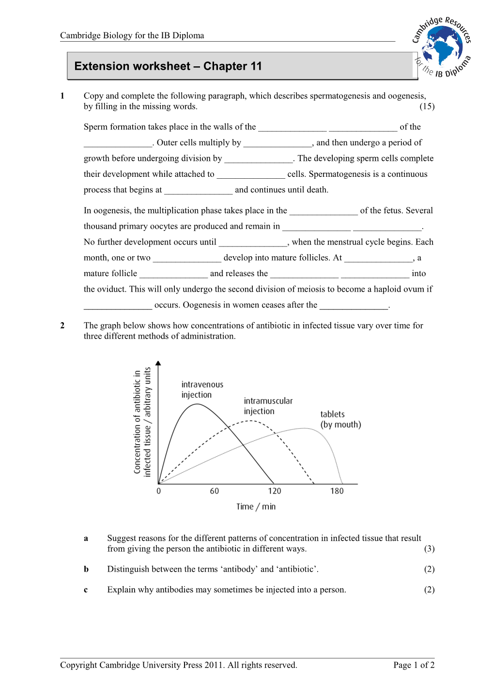 Extension Worksheet Chapter 11