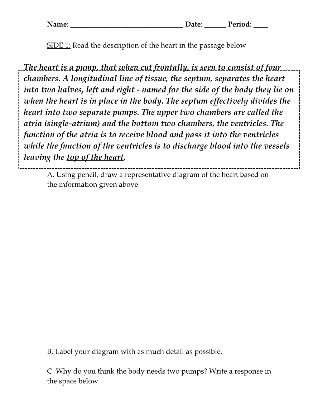 Read the Description of the Heart in the Passage Below