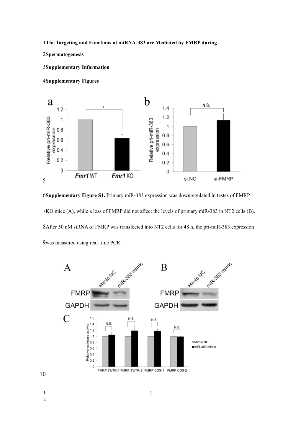 The Targeting and Functions of Mirna-383 Are Mediated by FMRP During Spermatogenesis