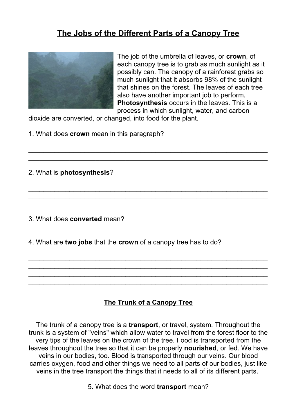 The Jobs of the Different Parts of a Canopy Tree