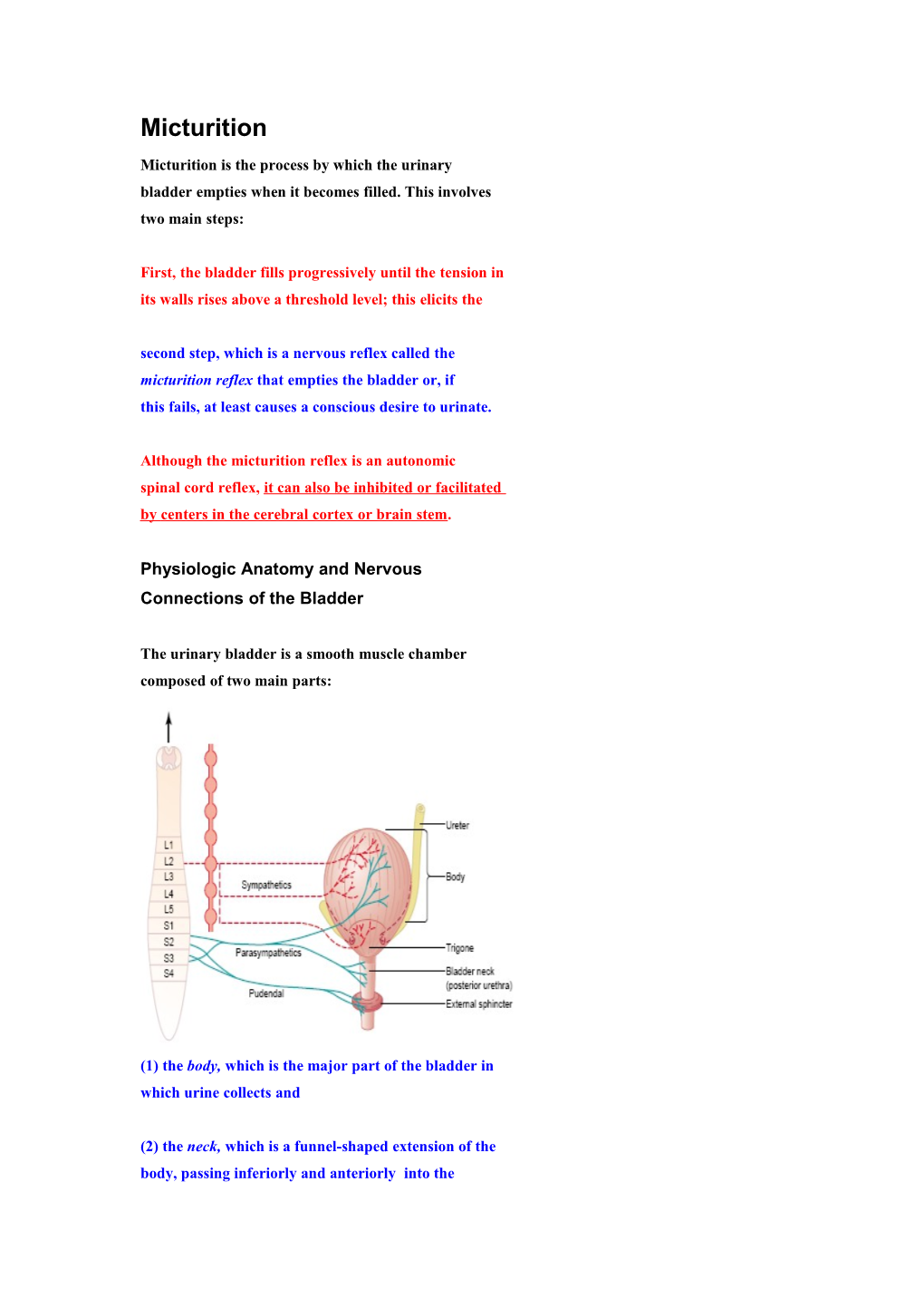 Micturition Is the Process by Which the Urinary Bladder Empties When It Becomes Filled