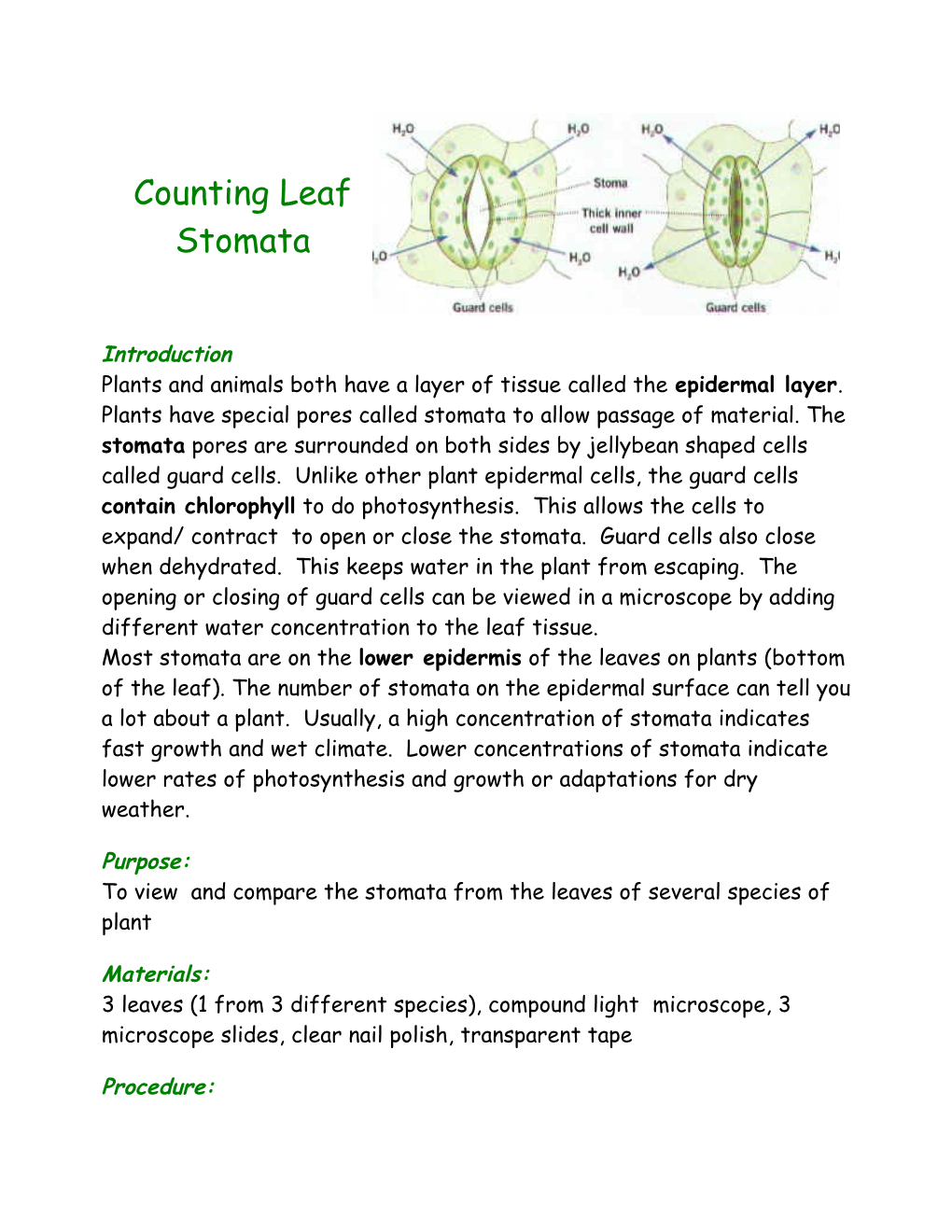 1. Obtain Three Leaves from Different Types of Plants