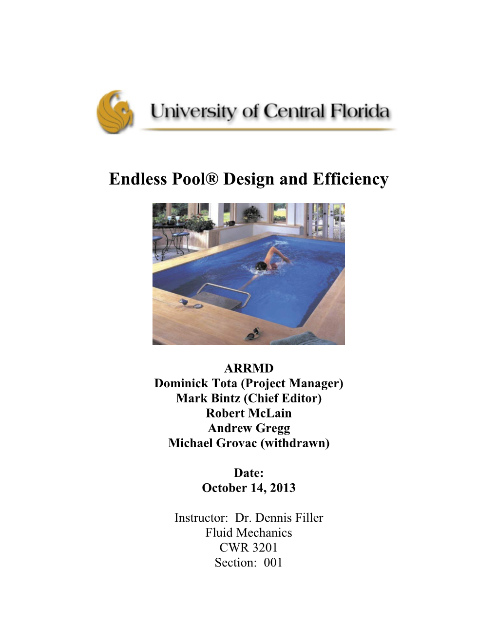 Endless Pool Design and Efficiency