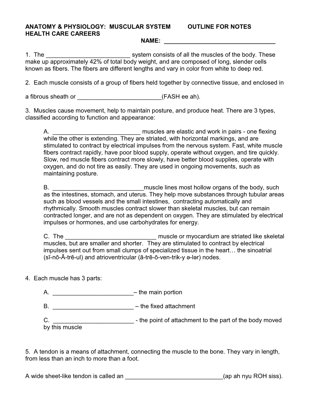 Anatomy & Physiology: Muscular System Outline for Notes