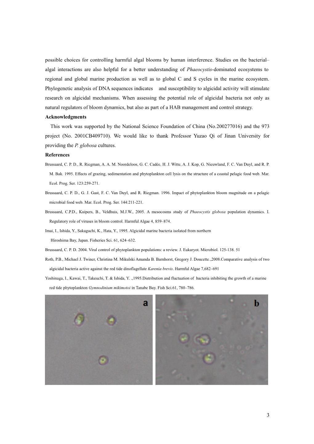 Isolation and Characterization of Two Marine Algicidal Bacteria Against the Phytoplankton