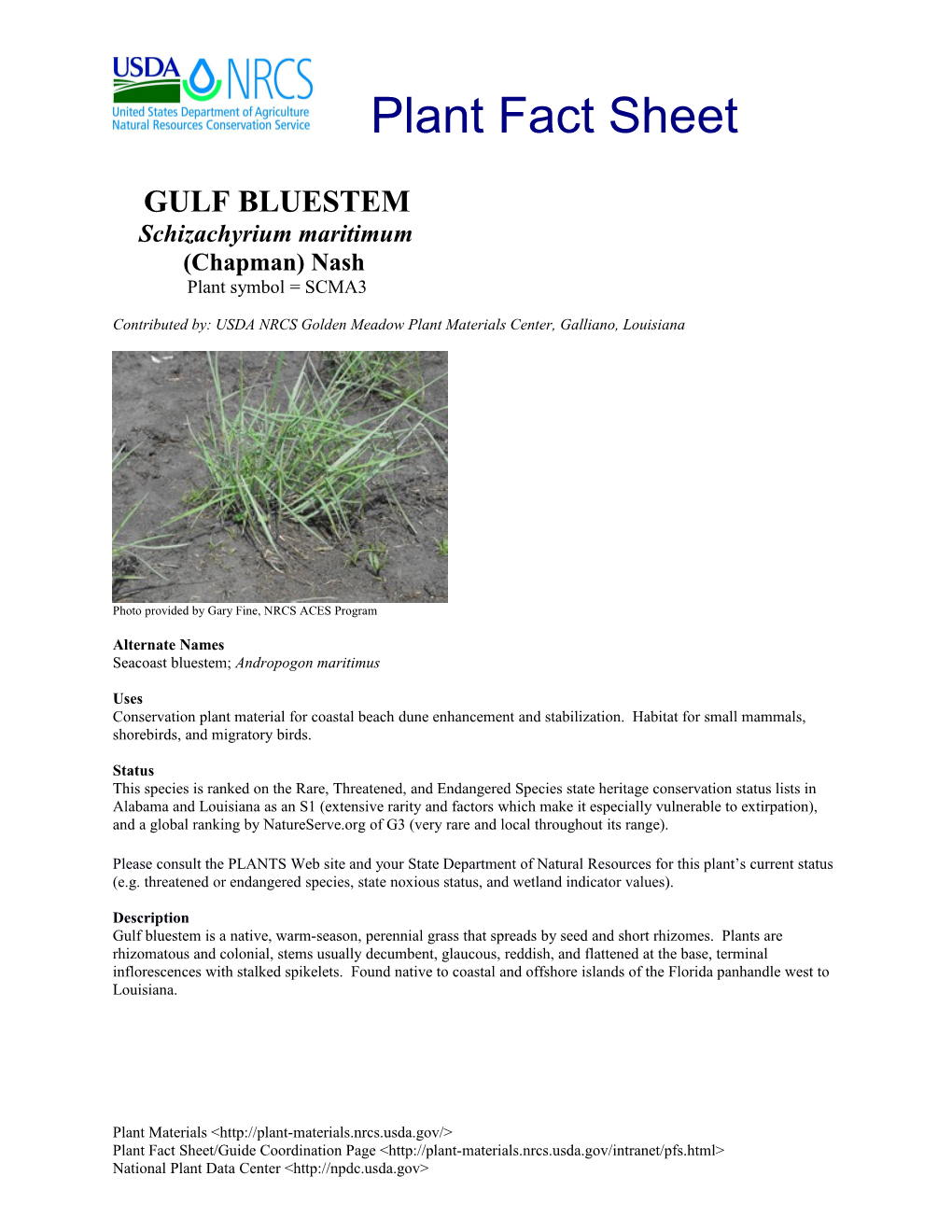 Contributed By: USDA NRCS Golden Meadow Plant Materials Center, Galliano, Louisiana