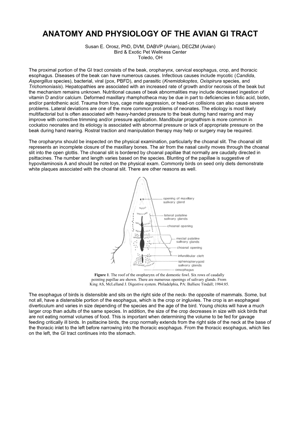 Avian GI Track Morphology and Diseases