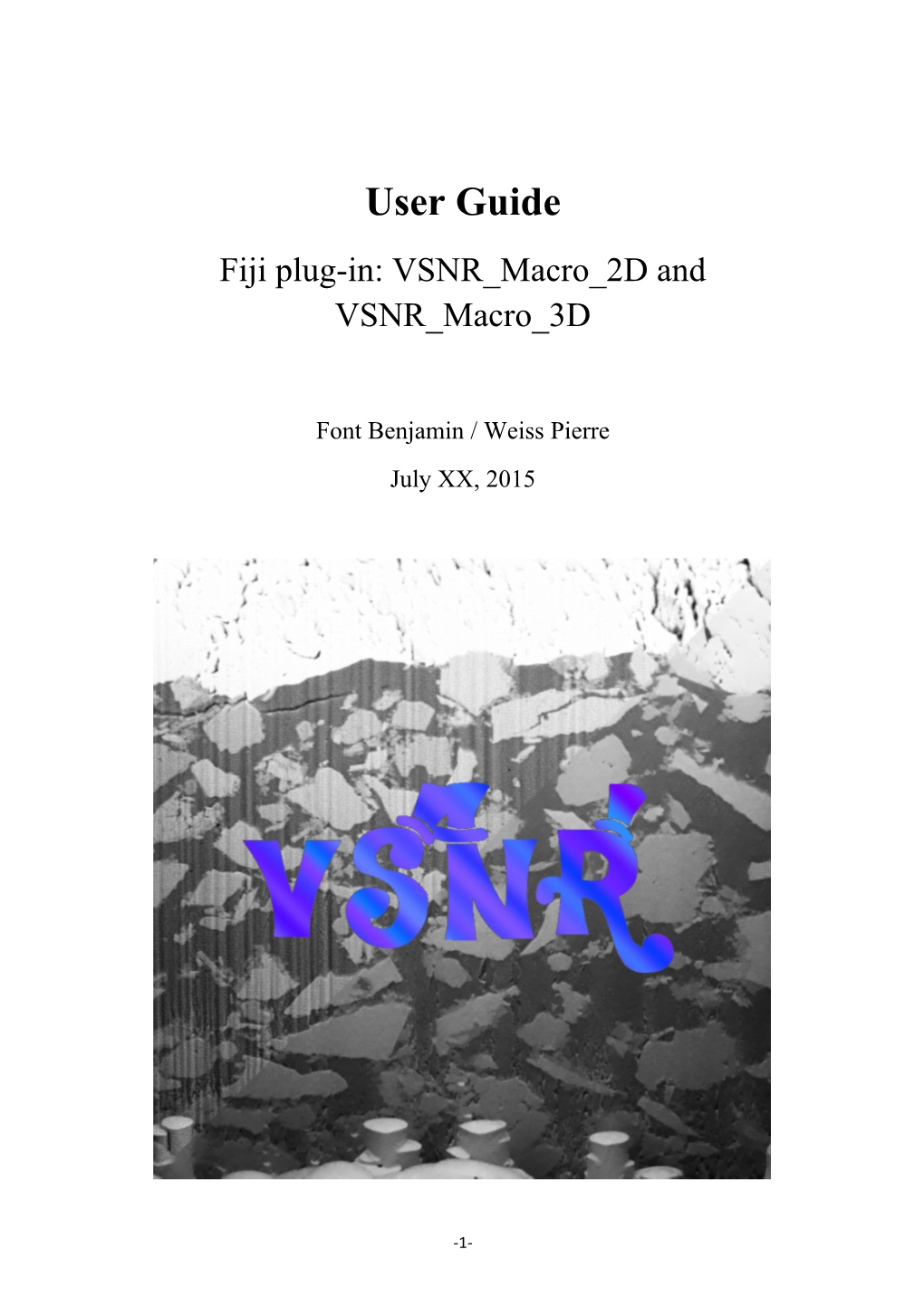 Fiji Plug-In: VSNR Macro 2D and VSNR Macro 3D