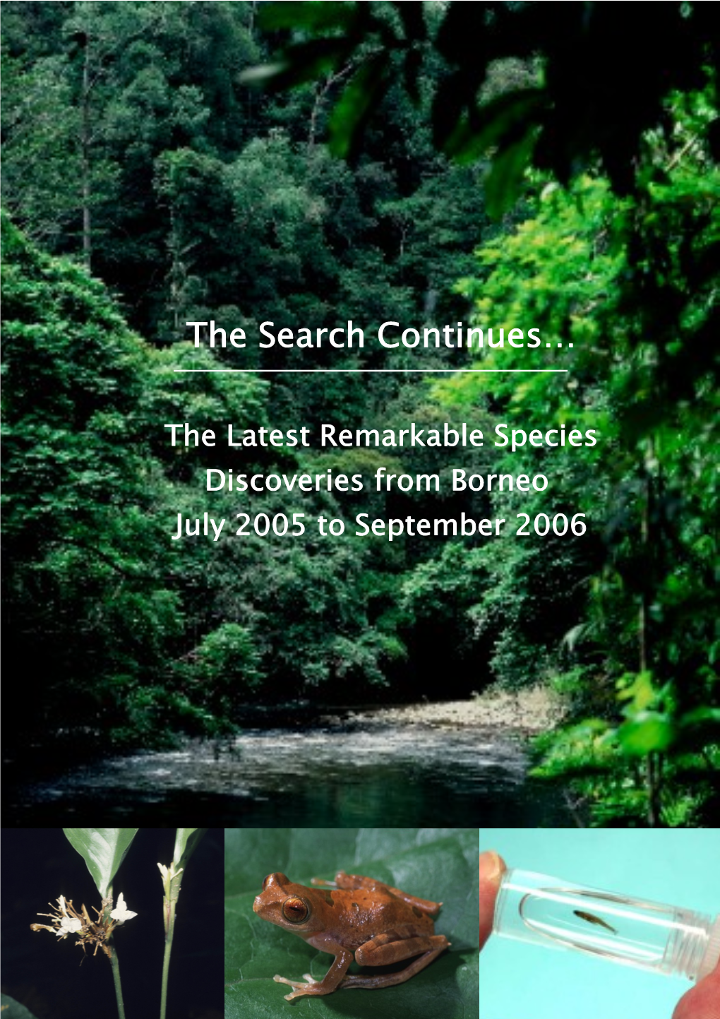 Borneo Uncovered/Exposed(Needs Snappy Title)
