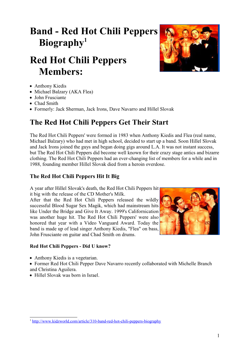 Band - Red Hot Chili Peppers Biography
