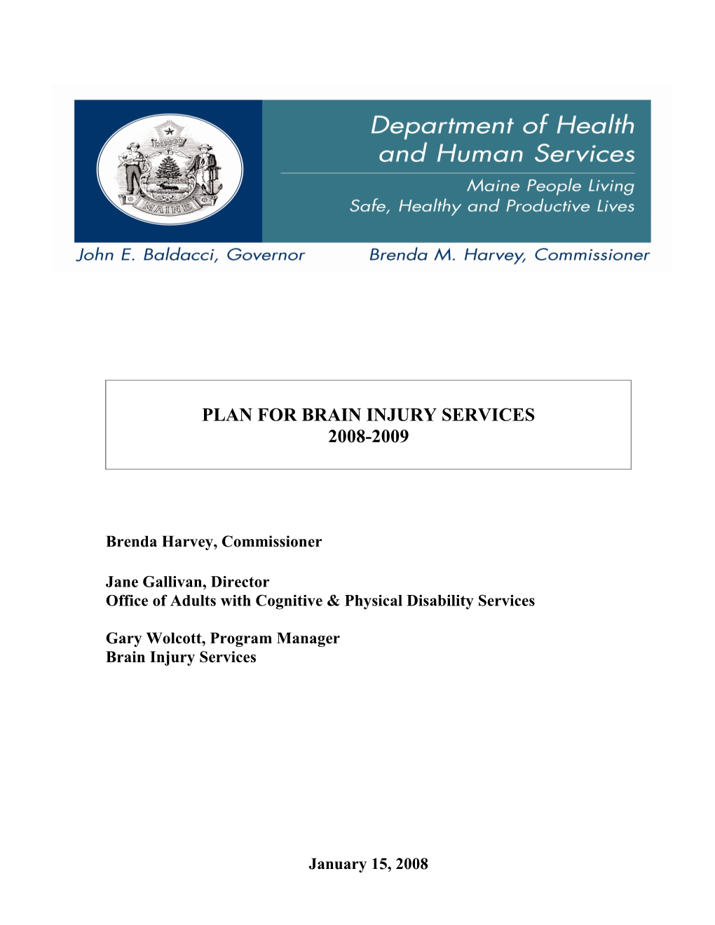 Summary of Proposed 2008-2009 Plan for Brain Injury Services