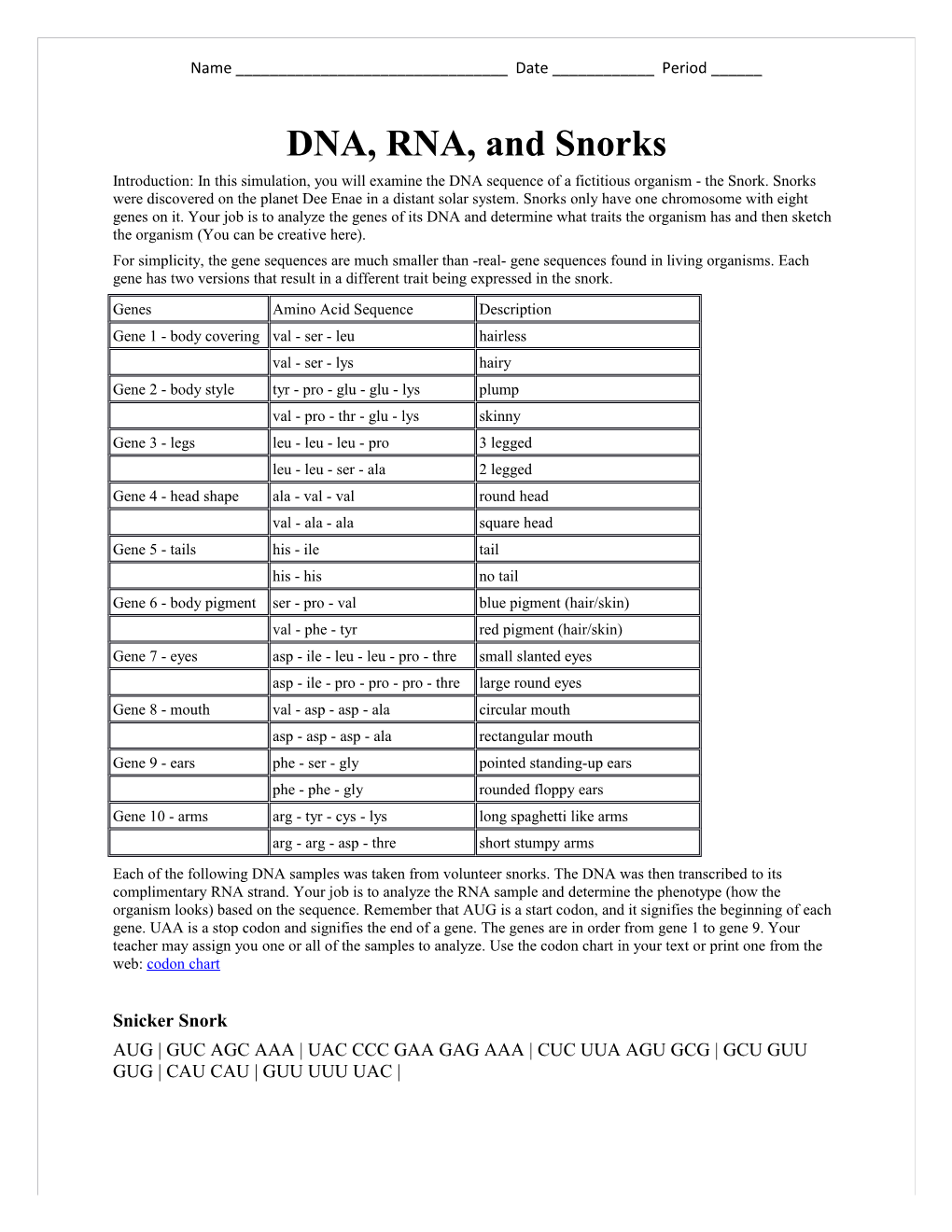 DNA, RNA, and Snorks